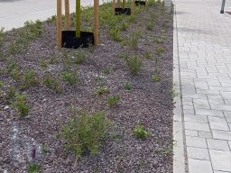 |Einhausen|Architektur|Neubaugebiet|Steingarten-Kindergarten|