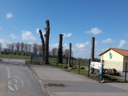 | Einhausen | Drumrum | Baumblüte TV-Sportplatz