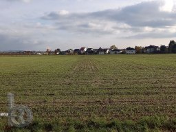 |Einhausen|Drumrum|Landwirtschaft|Panorama-26|