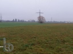 |Einhausen|Drumrum|Landwirtschaft|Panorama-Schwanheim|