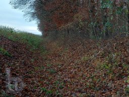 |Einhausen|Drumrum|Landwirtschaft|Entwässerungsgraben-33|