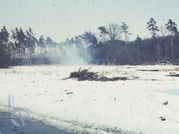 | Einhausen | Drumrum | Wald | Panorama-Winter