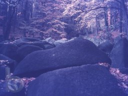 | Einhausen | Drumrum | Wald | Panorama-Winter