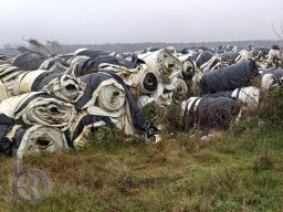 | Einhausen | Drumrum | Landwirtschaft | Spargelanbau