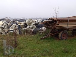 | Einhausen | Drumrum | Landwirtschaft | Spargelanbau