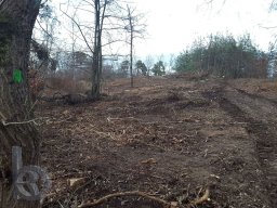 | Einhausen | Jägersburger-Wald | Waldschaden | Entwurzelt-Umgestürzt |