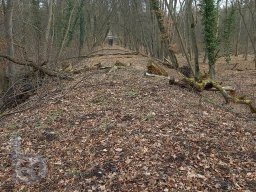 | Einhausen | Jägersburger-Wald | A67 | Autobahnbrücke