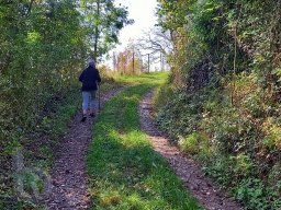 |Einhausen|Jägersburger-Wald|Schneise|