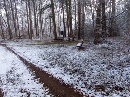 |Einhausen|Jägersburger-Wald|Panorama|Winter|