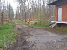 |Einhausen|Jägersburger-Wald|Holzstapel|