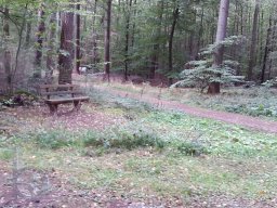 |Einhausen|jägersburger-Wald|Rastplatz|Rundes-Haus|