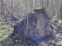 |Einhausen|Jägersburger-Wald|Waldschaden|Entwurzelt-Umgestürzt|