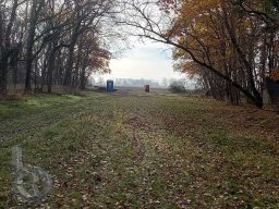 | Einhausen | Jägersburger-Wald | Panorama | Waldweg