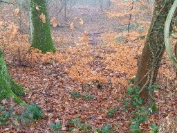 | Einhausen | Jägersburger-Wald | Panorama | BrückeA67