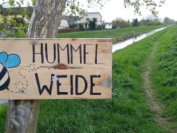 |Einhausen|Schilda|Hummelweide|