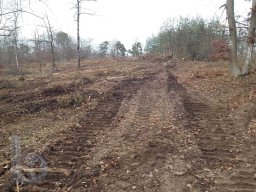 | Einhausen | Jägersburger-Wald | Waldschaden | bodenschonende Forstmaschinen |