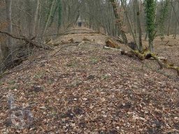 |Einhausen|Jägersburger-Wald|ZerbombteAutobahnbrücke|OstenA67|