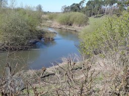 |Einhausen|Wattenheimer-Brücke|Weschnitzpanorama|