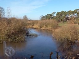 |Einhausen|Wattenheimer-Brücke|Weschnitzpanorama|