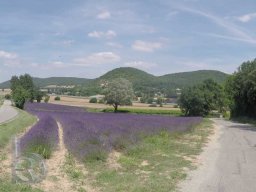 | QDT2015  | Ardèche | Tournon-sur-Rhône | Lavendelfelder