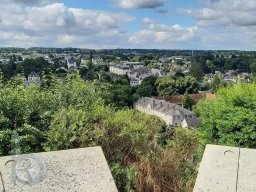 | QDT2021 | Loiret | Amboise | Panorama |