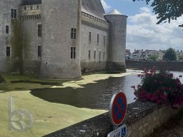 | QDT2021 | Loiret | Sully-sur-Loire | Chateu-Sully-sur-Loire |